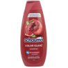 Schauma šampon Color 400 ml