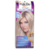 Palette farba na vlasy  - Ľadovostrieborný blond C10 (kartón 10 ks)