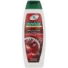 Palmolive šampon Color 350ml (kartón 12 ks)