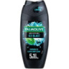 Palmolive sprchový gél Ice blast 250ml (kartón 6 ks)