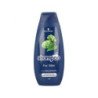 Schwarzkopf Shampoo For Men 400ml (kartón 20 ks)