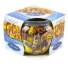 Sviečka v skle Holy Family 80g